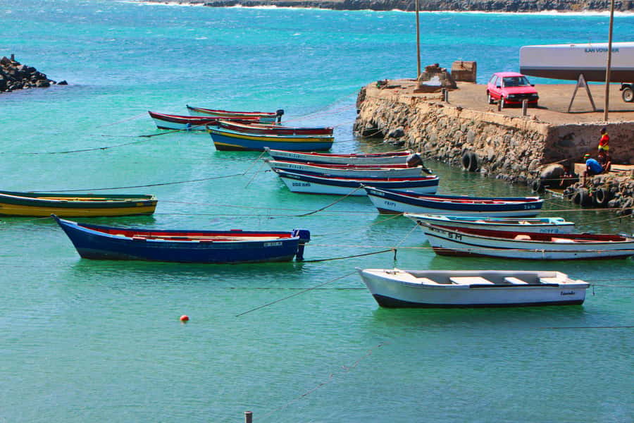 Sal island : Full day excursion Salinas, Shark Bay, Blue Eye - Shark Bay: the liveliest hour on the coast