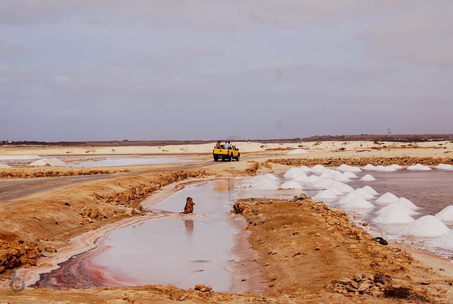 Sal island: Guided Historical and Cultural Tour - The Water Route and Cape Verdean Flavors