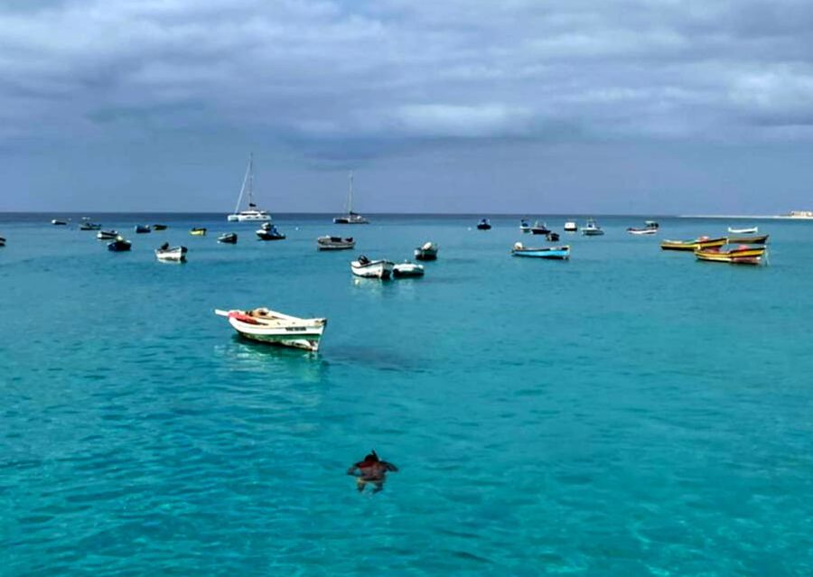 Sal island: Santa Maria city tour, street art and tapas - Meeting Santa Maria at the Pontão