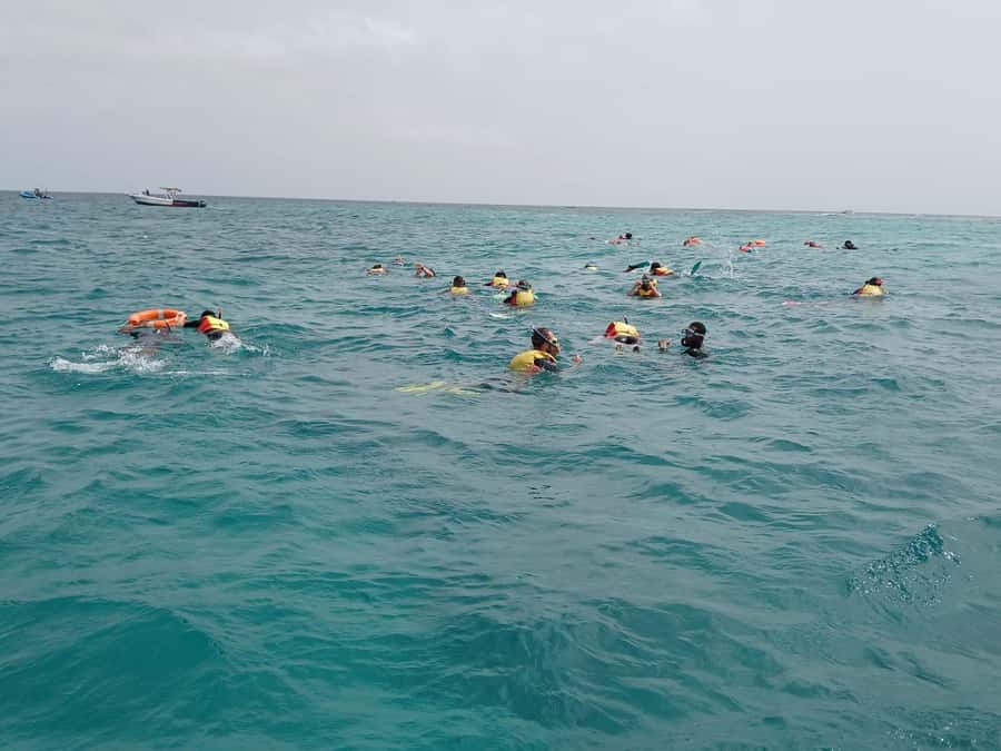 Sal Island: Santa Maria Snorkelling - Dunas Bikini and Farol offer a wider look at Sal’s reefs