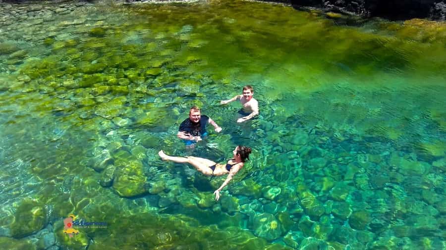 Sal island: Secrets of a Native Guide Day trip with Lunch - Shark Bay and the lemon sharks