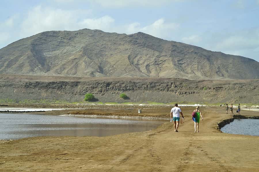 Sal: Lemon Shark Bay and Pedra de Lume Salt Lakes Tour - Two unusual sights in one Sal excursion