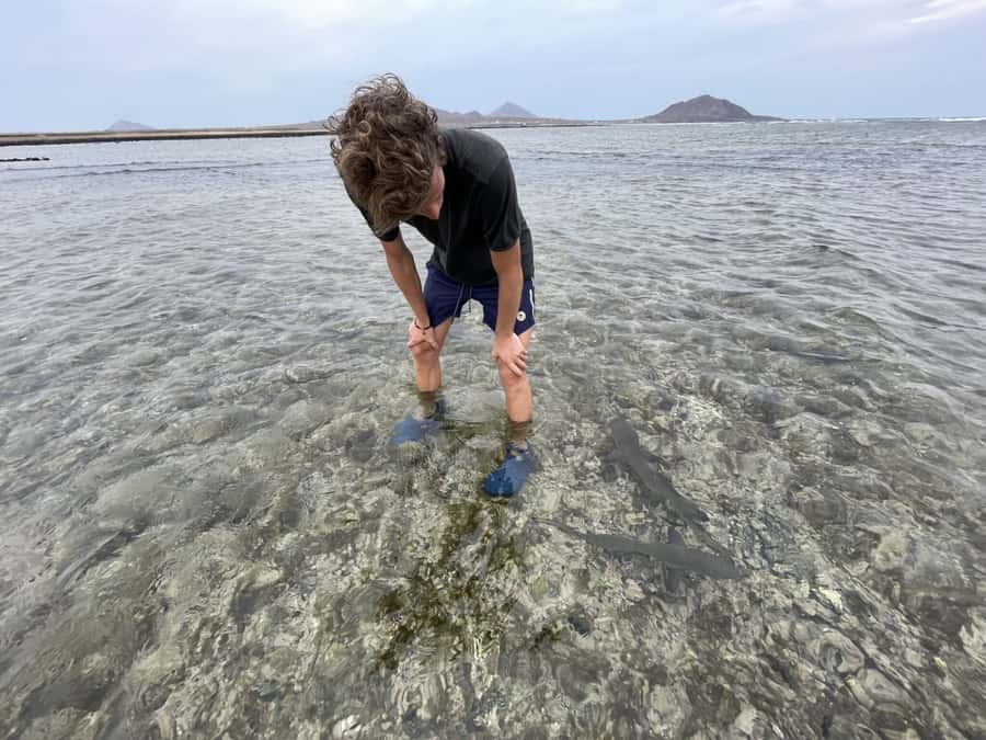 Sal: Lemon Shark Bay and Pedra de Lume Salt Lakes Tour - Reaching Lemon Shark Bay from your hotel