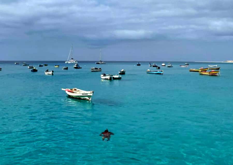 Sal: Private Tour Secrets of a native guide All-inclusive - Santa Maria: From salt works to resort center