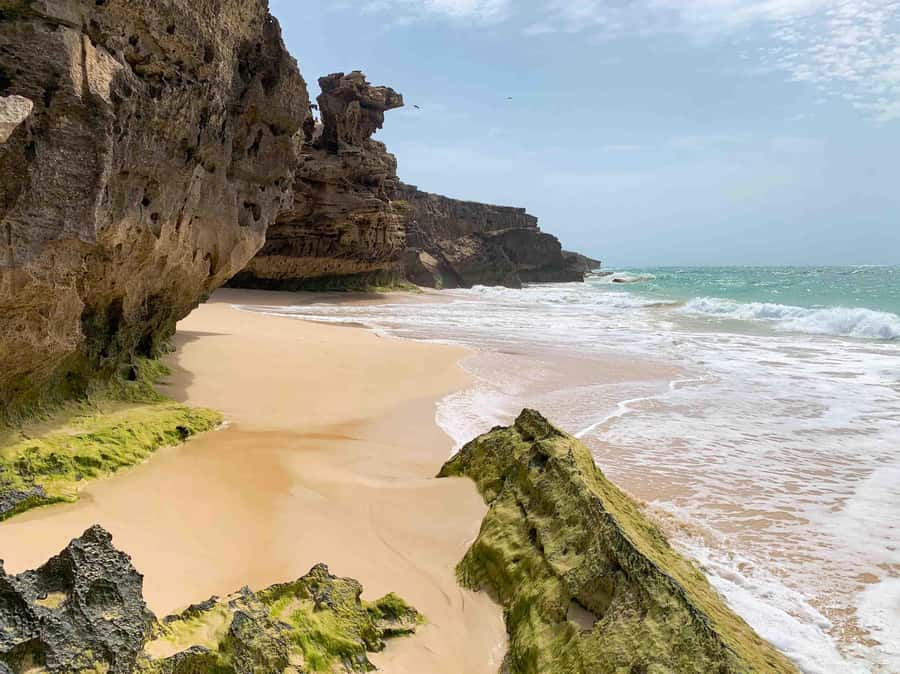Sal Rei: Boa Vista Island Full-Day North to South Discovery - Sal Rei: lunch, market, and time in town