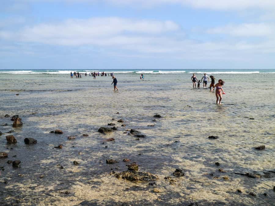 Salt Pans & Lemon Sharks Experience - Why these two Sal sights work well together