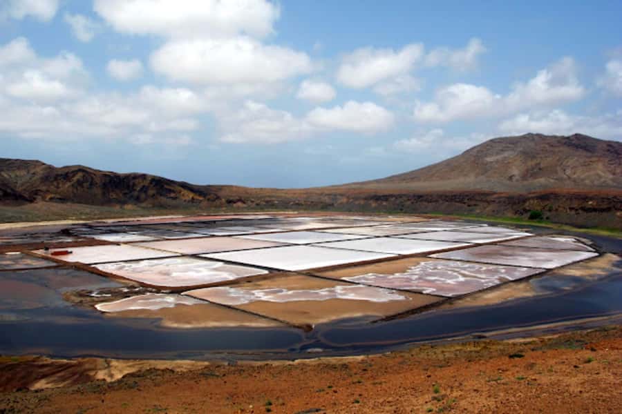 Salt Pans & Lemon Sharks Experience - What to bring for a less awkward day