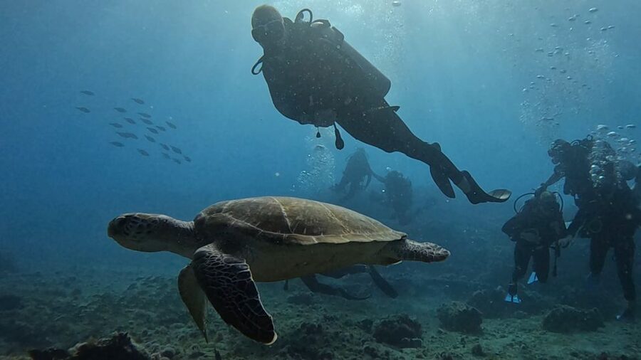 Santa Maria: Advance Open Water Diver - PADI or SSI Course - Starting with eLearning and the essential skills