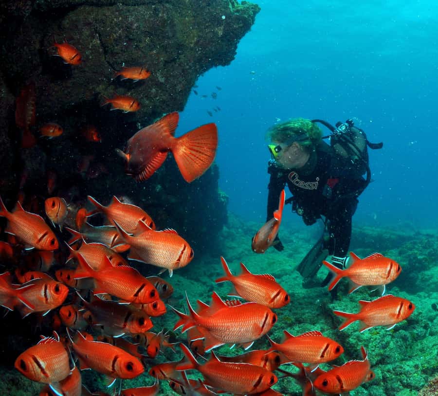 Santa Maria: Discover Scuba Diving - The lunch break keeps the day manageable