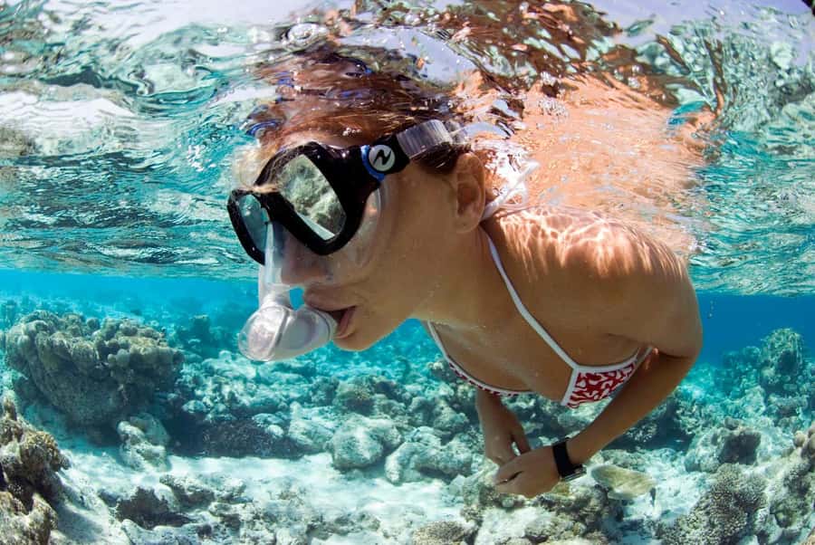 Santa Maria: Guided Snorkeling and Reef Tour - Santa Maria snorkeling at a glance