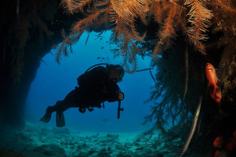 Santa Maria: Half-Day Diving Trip in Sal with Pickup - Is $114 a fair price?