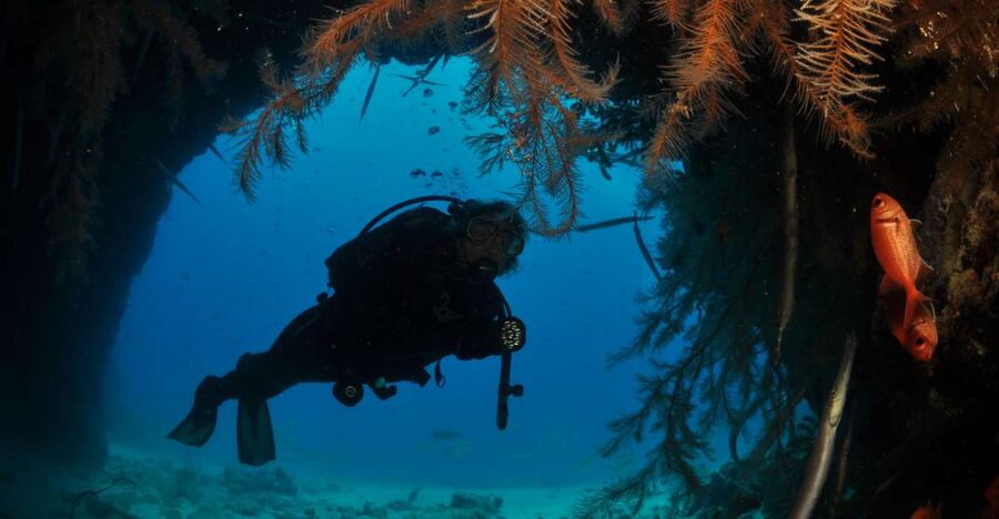Santa Maria: Open Water Diver - PADI or SSI Course - What the Sal scuba course is really offering