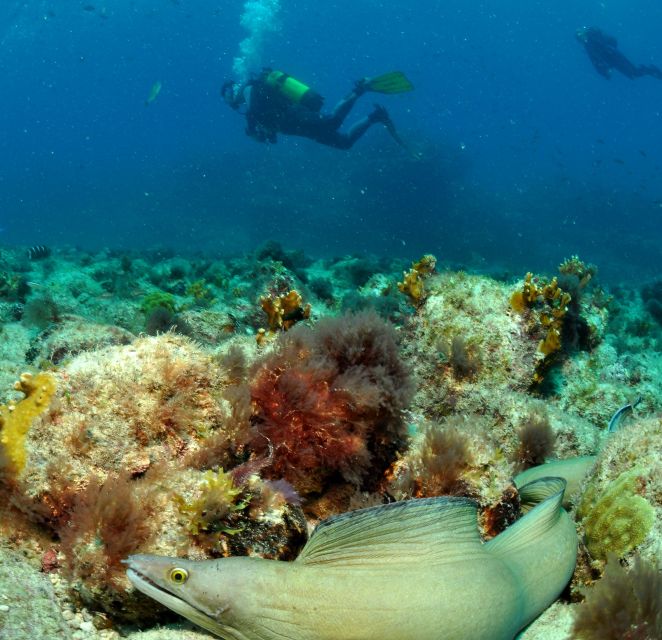 Santa Maria: Open Water Diver - PADI or SSI Course - Who will feel comfortable on this course