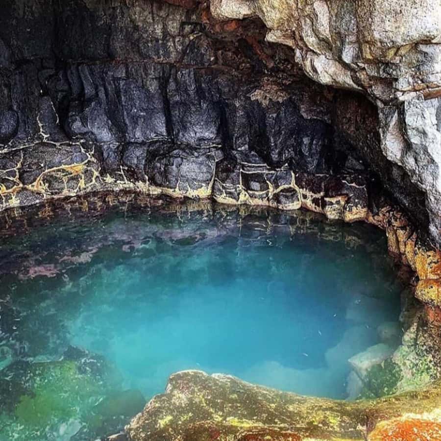 Santa Maria: Salt Mine, Natural Pool, and Shark Bay Tour - Floating in the salt mines