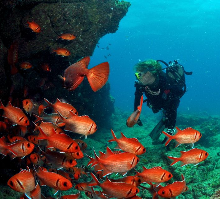 Santa Maria: Scuba Diving Package with 3 Dives - Key points before you book