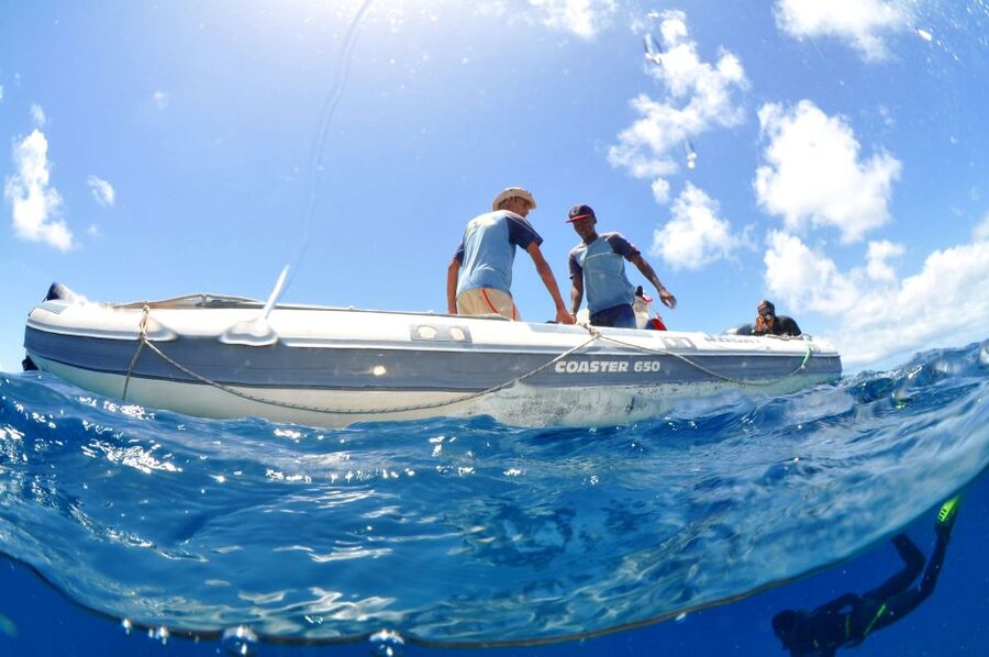 Santa Maria: Scuba Diving Package with 3 Dives - Meeting the boat at 8:30 in Santa Maria