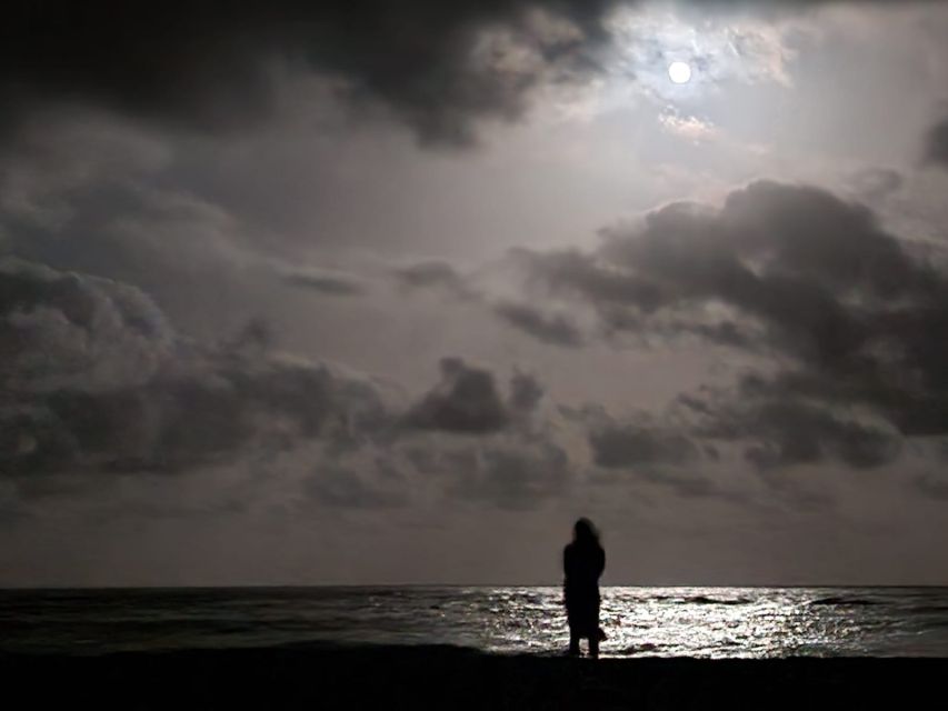 Santa Maria: Sea Turtle Watching Experience on Sal Island - Who will enjoy this evening most