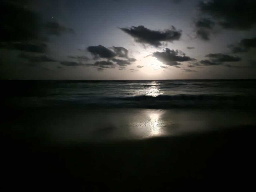 Santa Maria: Sea Turtle Watching Experience on Sal Island - Waiting quietly for the first turtle