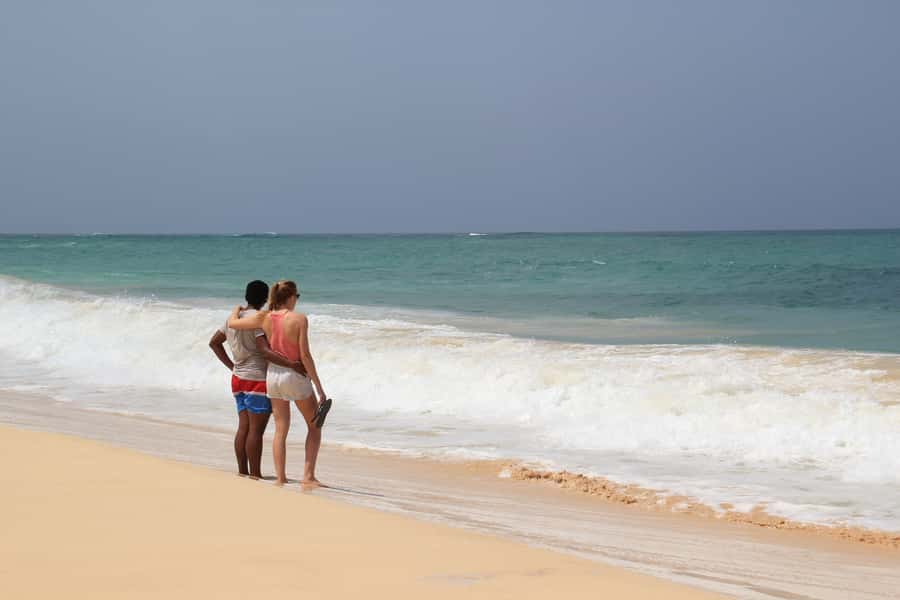 Santa Monica Beach Tour - Turtle Bay and Shark Bay: wildlife with no promises