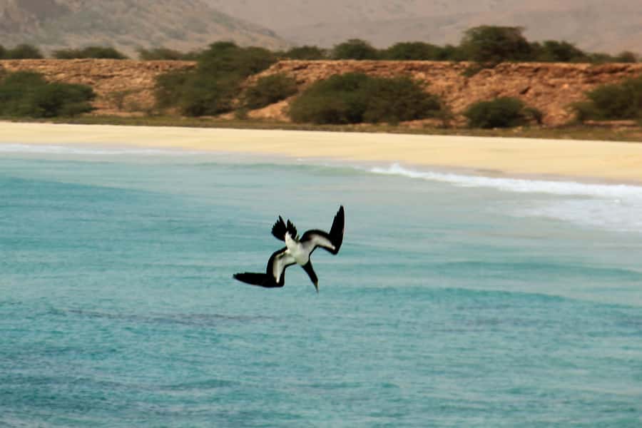 Santa Monica Beach Tour - Varandinha Beach and its limestone caves