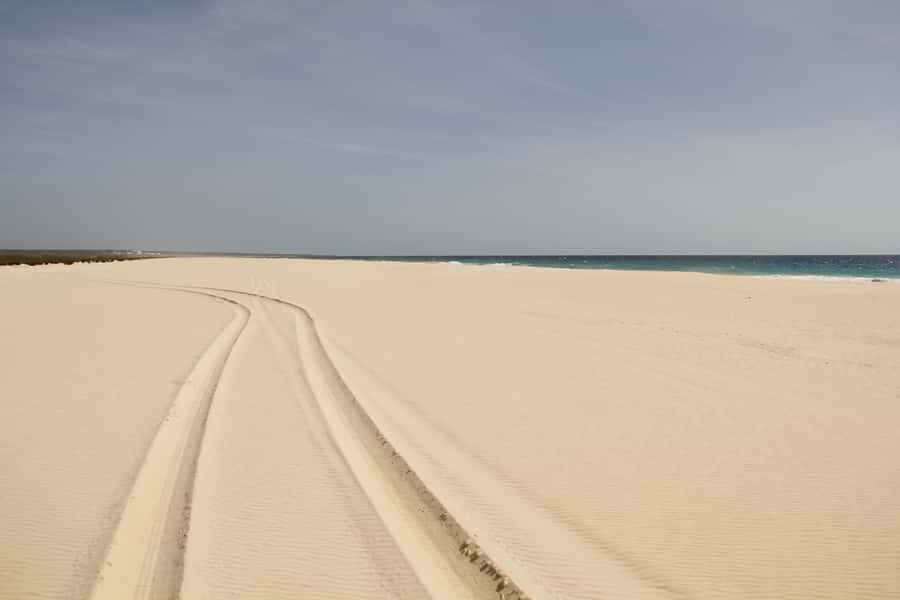 Santa Monica Beach Tour - The best match for this Boa Vista outing