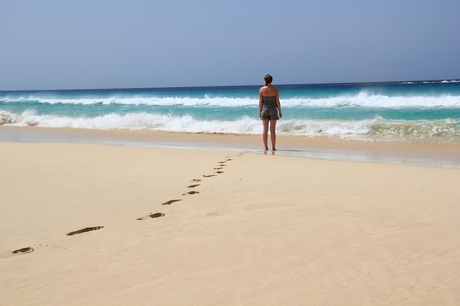 Santa Monica NO Stress Tour - Why this four-hour trip works well in Boa Vista