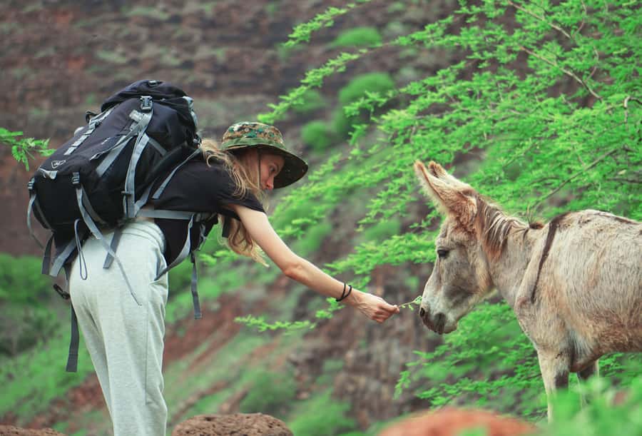Santiago: Calabaceira Valley Trek & Visit to Cidade Velha - Baobabs, birds, and a valley once used as an escape route
