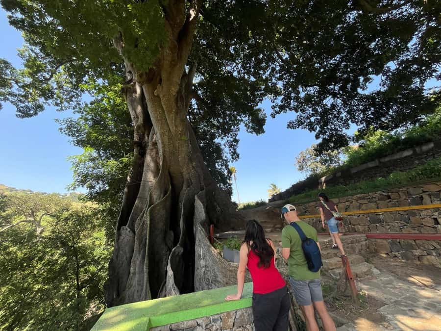 Santiago Island: Assomada City Tour with Lunch - Timing, languages, and practical fit