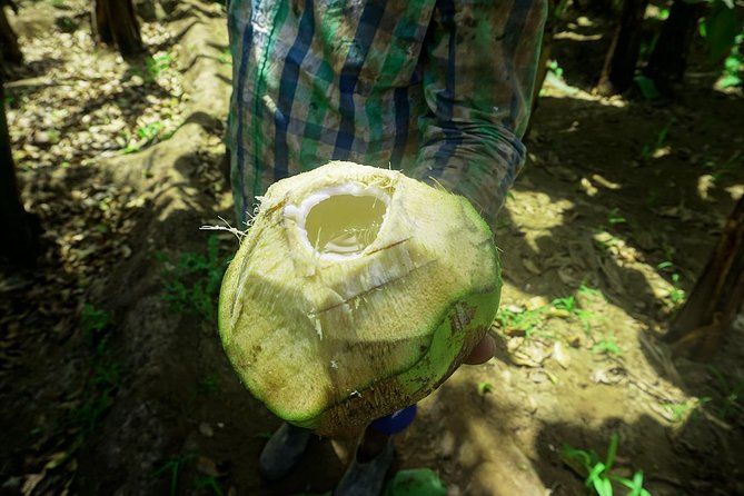 Santiago Island: Banana Plantation, Natural Park & Workshop with a local family - Cooking cuscuz and fidjós with a local family