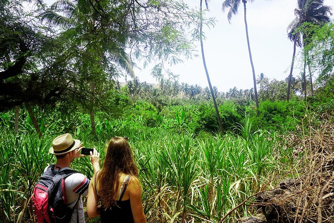 Santiago Island: Banana Plantation, Natural Park & Workshop with a local family - The return through Santiago’s rocks and valleys