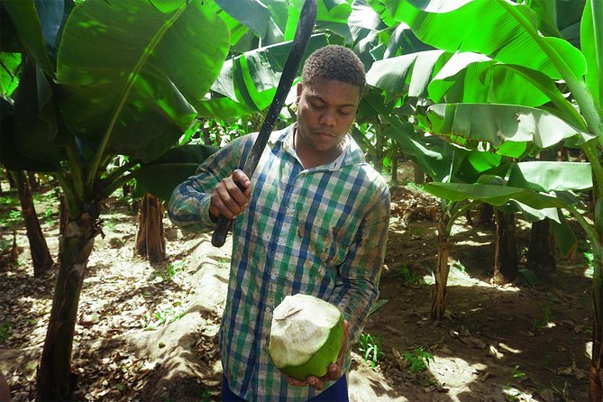 Santiago Island: Banana Plantation, Natural Park & Workshop with a local family - Is $87.14 a fair price?