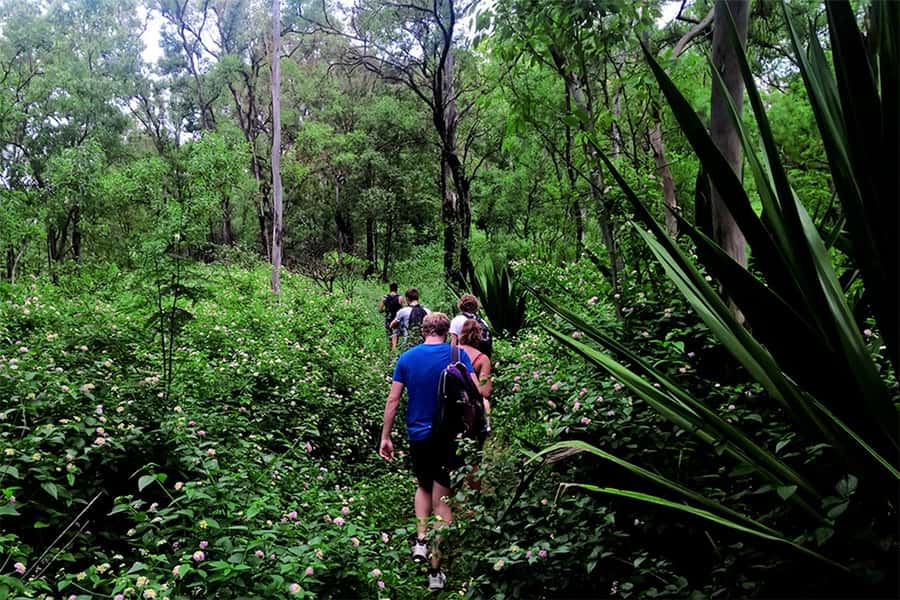 Santiago Island: Serra Malagueta & Tarrafal Beach Trek Tour - Group size, languages, and the feel of the outing