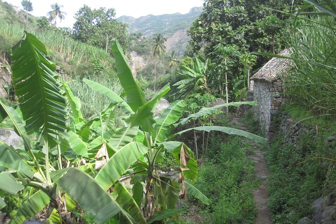 Santo Antão: Day Trip by Car or Trek - Pico da Cruz and Cova Crater