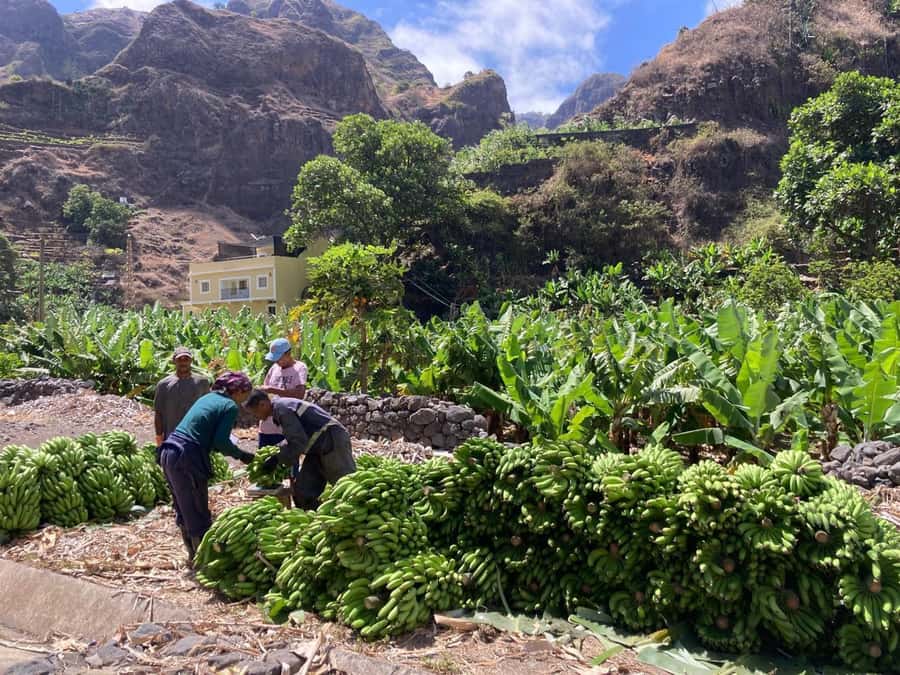 Santo Antão Highlights: Day Trip by Car with Ferry from SV - Why Santo Antão makes this trip worthwhile
