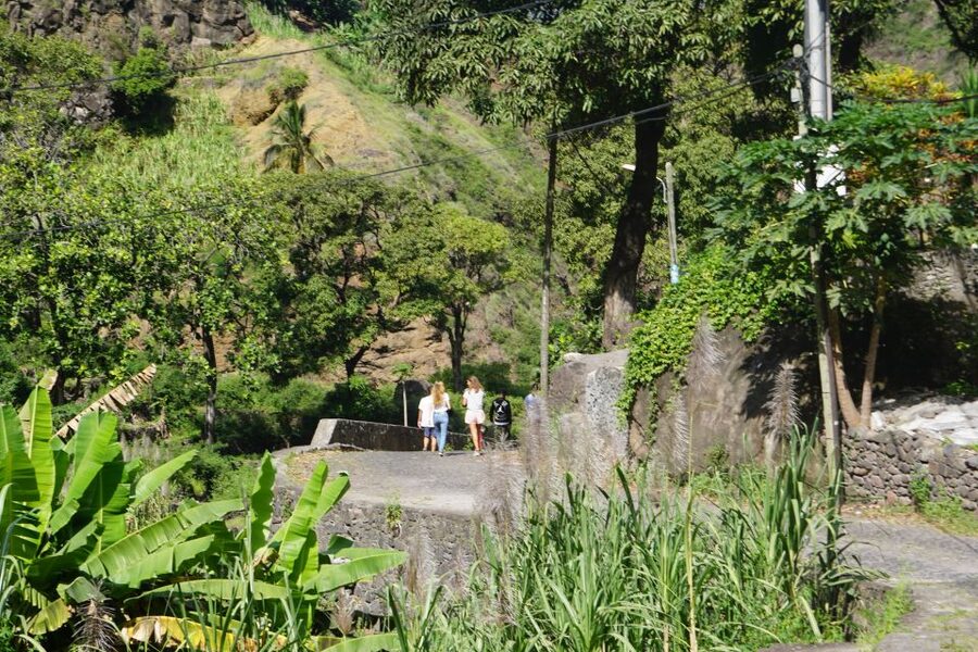 Santo Antão: Remote Mountain Villages Hike - Ending beneath Coculi’s palm trees