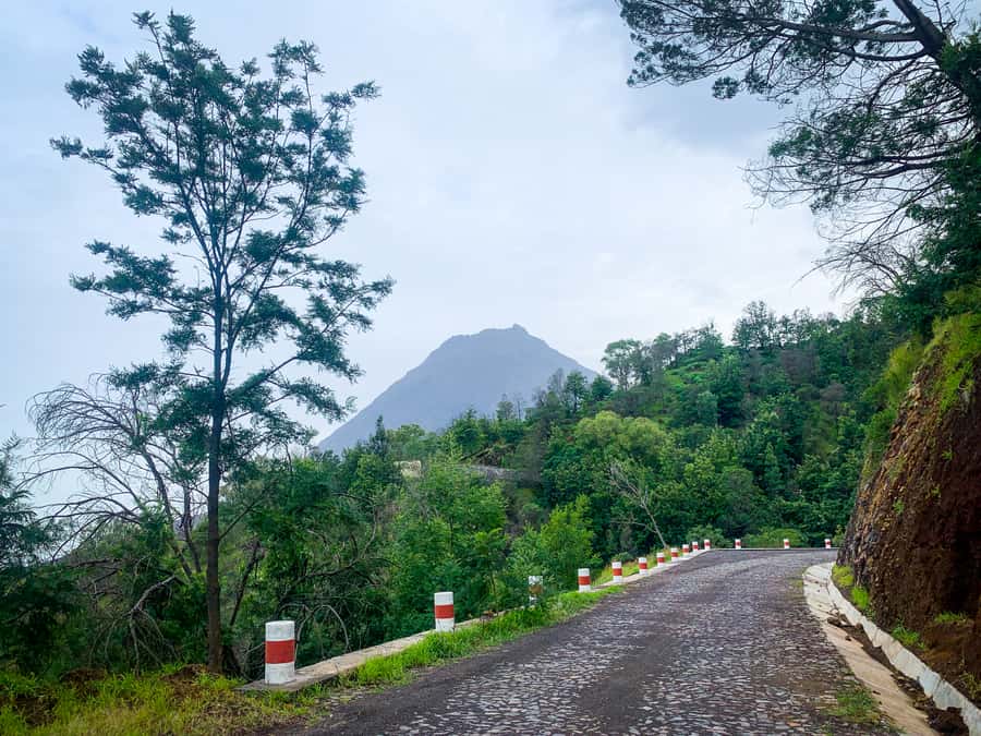 Sao Filipe: Coffee Plantation and Natural Pools Day Trip - The essential points before you book