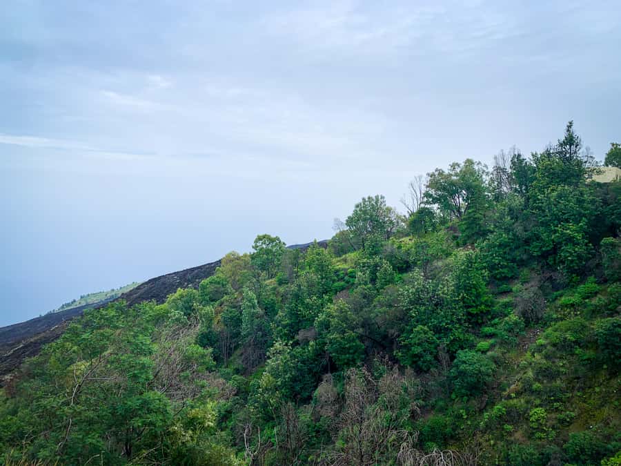 Sao Filipe: Coffee Plantation and Natural Pools Day Trip - Leaving São Filipe for Fogo’s eastern coast