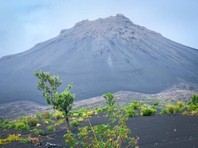 Coffee Plantation and Natural Pools Day Trip