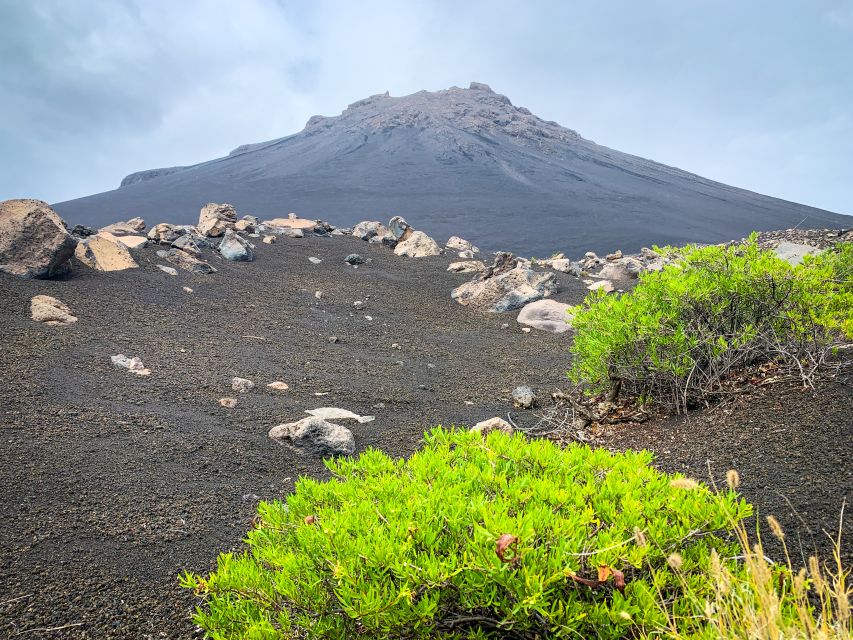 Sao Filipe: Coffee Plantation and Natural Pools Day Trip - Walking across the 1951 lava flows