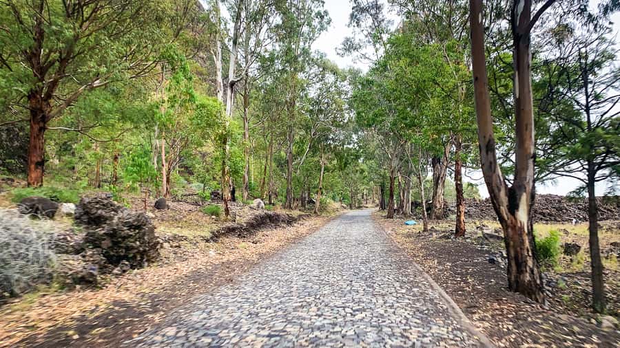 Sao Filipe: Coffee Plantation and Natural Pools Day Trip - Who will enjoy this day most?