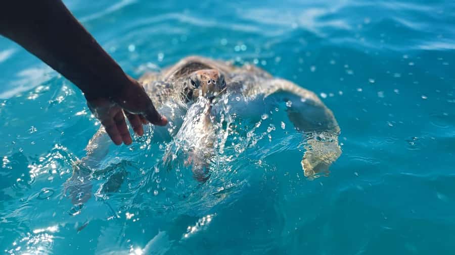 São Pedro experience (hiking & snorkel with turtles) - Hiking from São Pedro Beach to Don Amelia Lighthouse