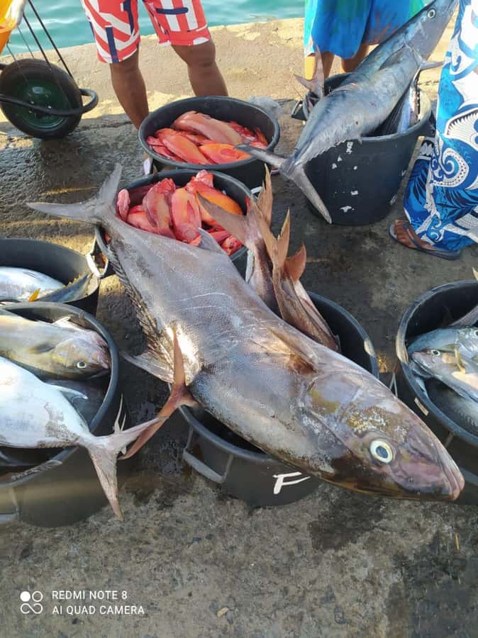 São Vicente Half Day - Key points to know before booking