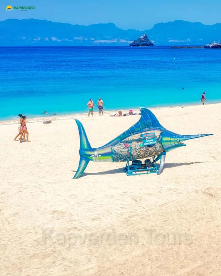 São Vicente: Highligts tour for cruise ship travelers - Starting in Mindelo’s city center