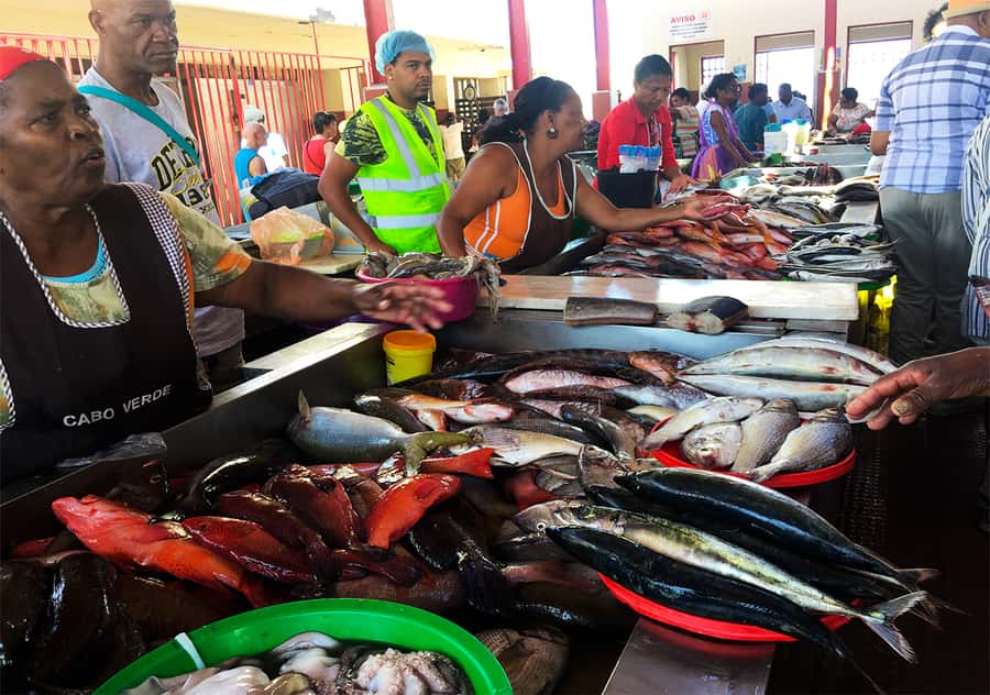São Vicente Island: Full-Day Tour - What To Bring And How To Plan The Day