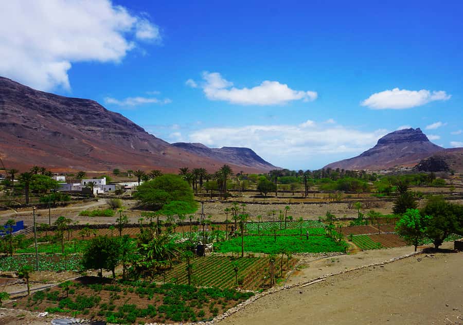 São Vicente Island: Full-Day Tour - Guides, Languages, And Group Size
