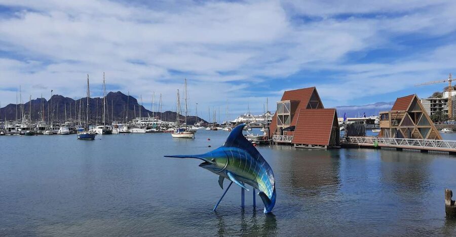 São Vicente: Markets, Beaches and Natural Park Tour - How the four-hour timing affects each stop