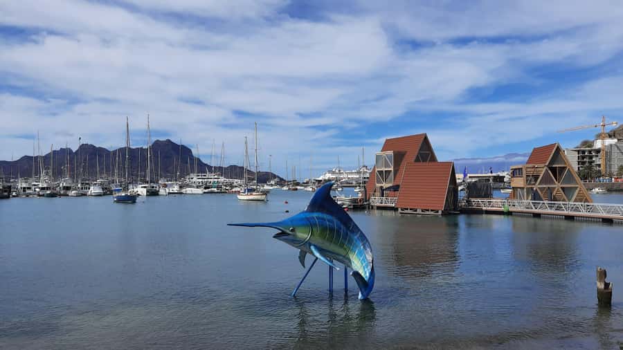 São Vicente: Markets, Beaches and Natural Park Tour - The African Market, where São Vicente feels most immediate