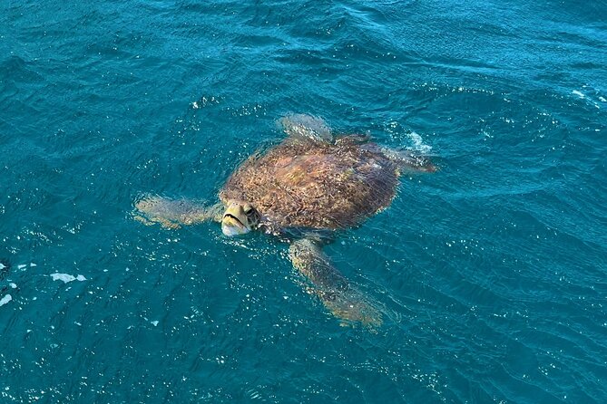 São Vicente: Private Snorkel Experience with Sea Turtle - From Mindelo to São Pedro by hotel pickup