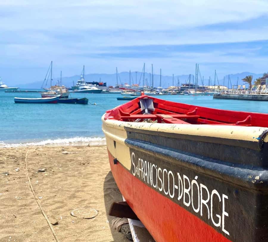 São Vicente: Snorkel with Sea Turtles Adventure - Key points at a glance
