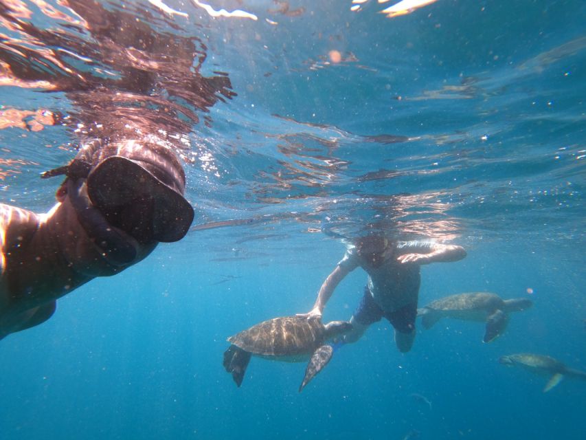 São Vicente: Snorkeling with Turtles Breathtaking Experience - What the reviews reveal about consistency